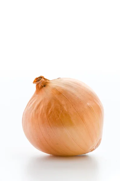 Onion isolated on white — Stock Photo, Image