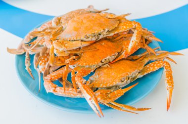 yengeçler plaka üzerinde