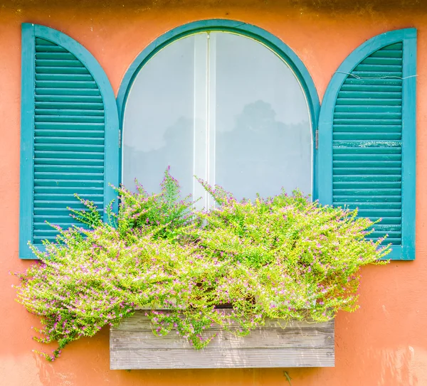 Toskana-Fenster — Stockfoto