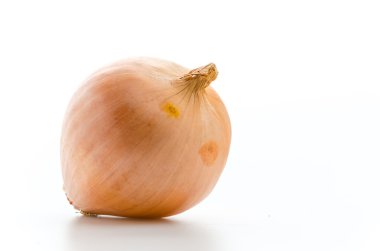 Beyaz üzerinde soğan izole