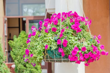 çiçek vazo dekorasyon