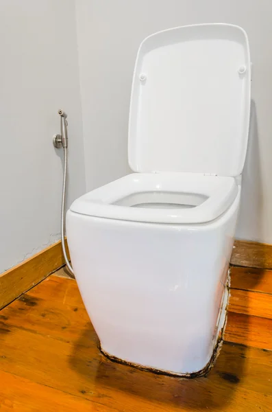 Toilet — Stock Photo, Image