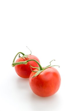 Domates beyazda izole.