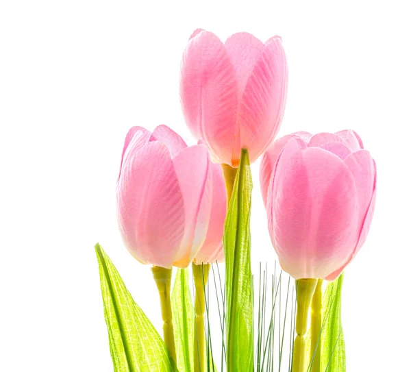 Tulipanes flor —  Fotos de Stock