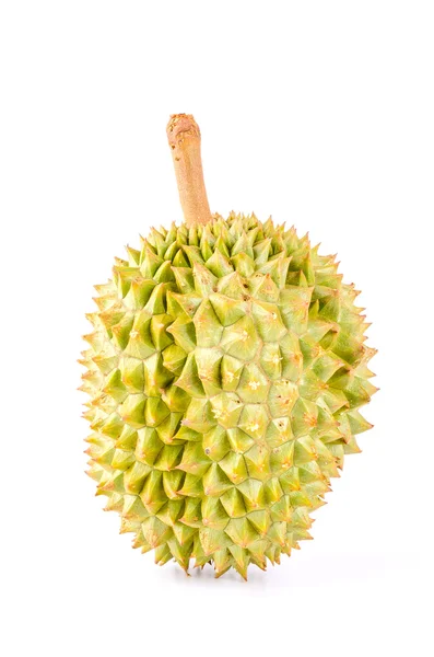 Durian owoców na białym tle — Zdjęcie stockowe