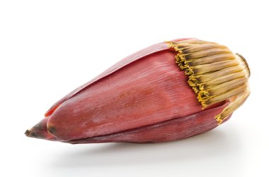 muz çiçeği
