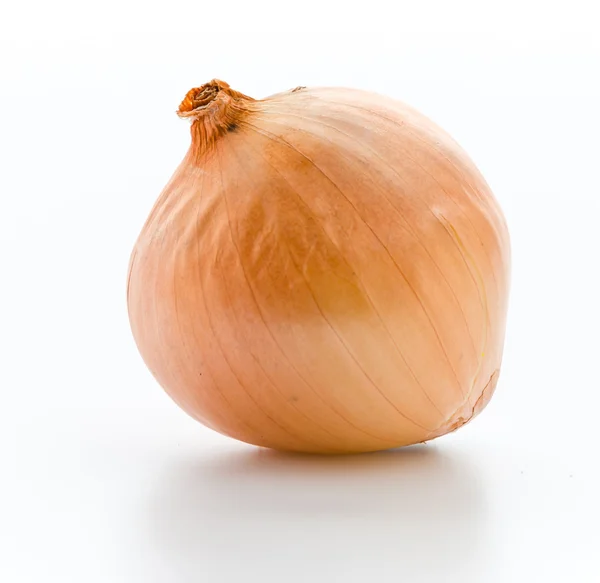 Onion — Stock Photo, Image