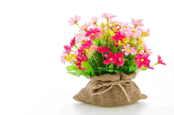 Schöne Blumen — Stockfoto