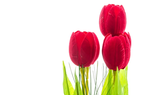 Hermosas flores —  Fotos de Stock