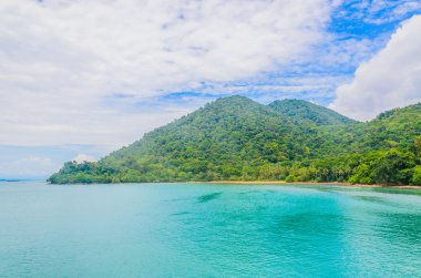 tropik deniz
