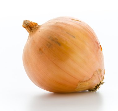 Beyaz üzerinde soğan izole