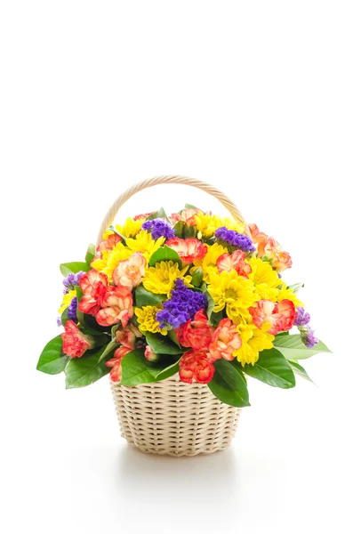 Květiny v květináči — Stock fotografie