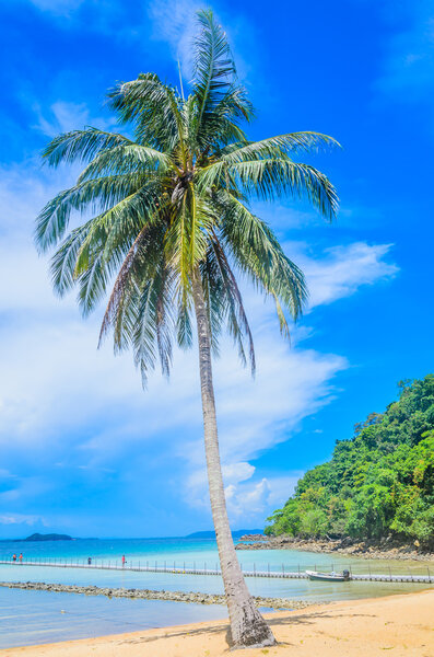 Тропический океан
