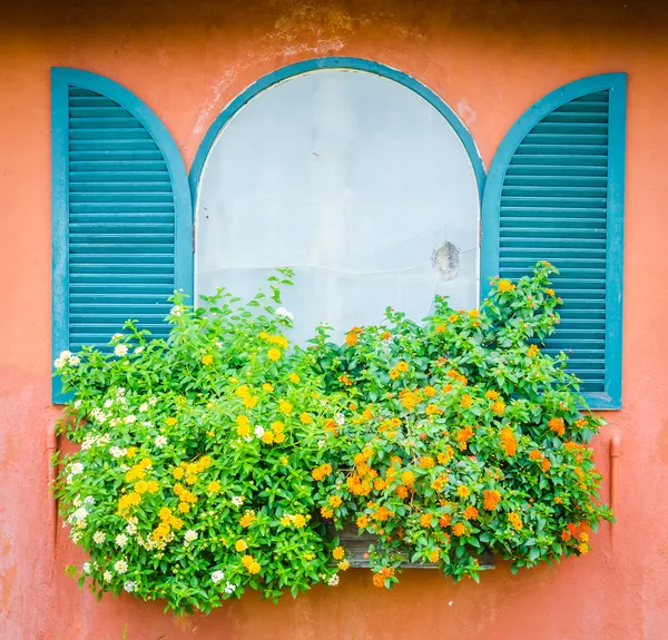 Tuscany window — Stock Photo, Image