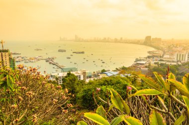 Pattaya cityscape