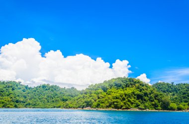 tropik deniz