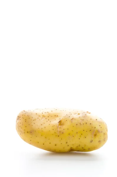 One Potato — Stock Photo, Image