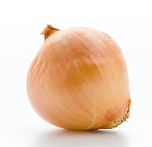 Brown Onion — Stock Photo, Image