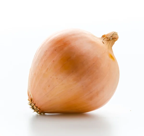 Brown Onion — Stock Photo, Image