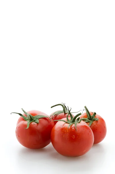 Tomate aislado sobre blanco — Foto de Stock