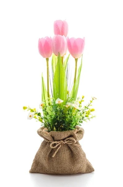 Tulpen blühen — Stockfoto