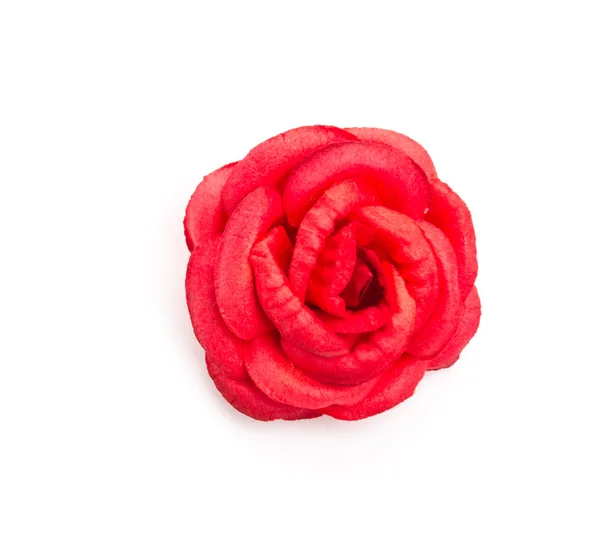Röd ros isolerad på vit bakgrund — Stockfoto