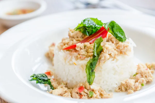 Pollo frito picante con albahaca y arroz — Foto de Stock