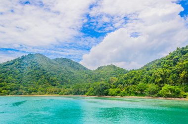 tropik deniz