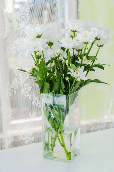 Flower in vase — Stock Photo, Image