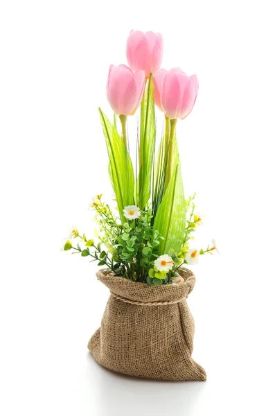 Tulipany kwiat — Zdjęcie stockowe