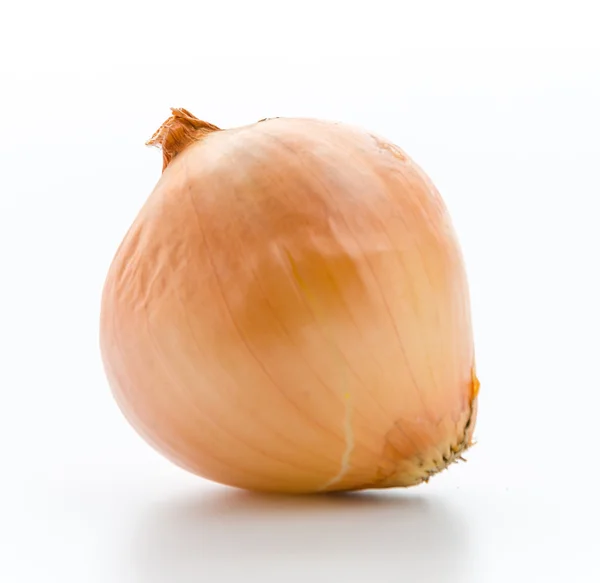 Onion isolated on white — Stock Photo, Image