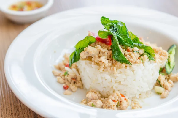 Pollo fritto piccante con basilico e riso — Foto Stock