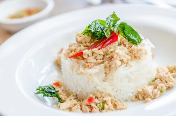 Pollo frito picante con albahaca y arroz — Foto de Stock