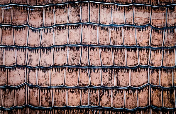 Snake leather — Stock Photo, Image