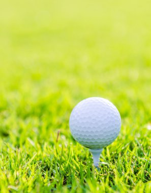 Çimlerin üzerinde golf topu