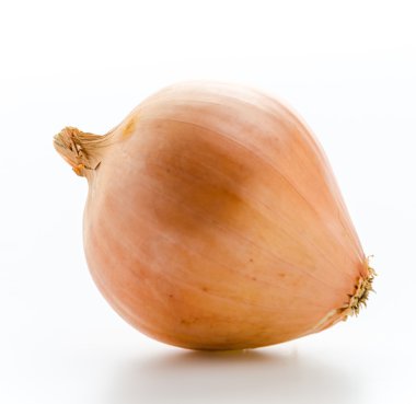 Soğan