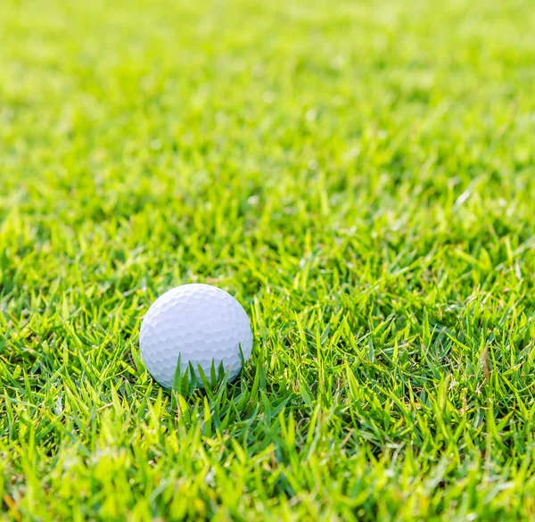 Bola de golfe na grama — Fotografia de Stock