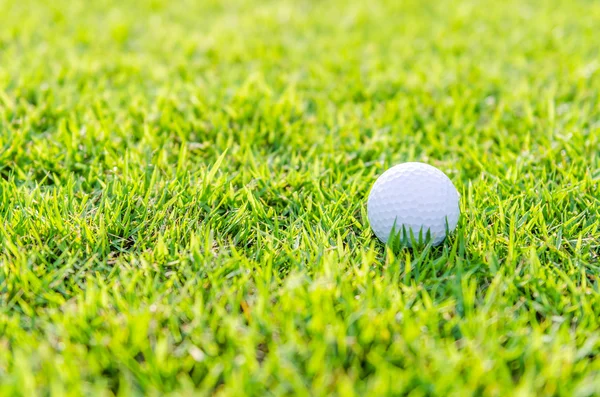 Bola golf di rumput — Stok Foto