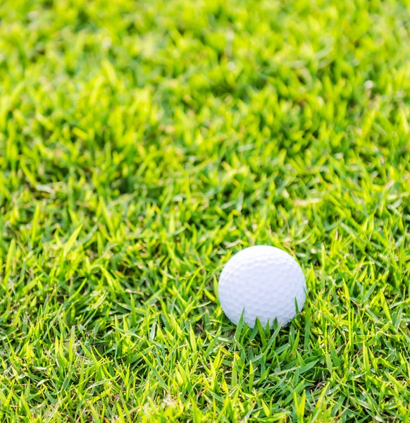Golfball auf Gras — Stockfoto