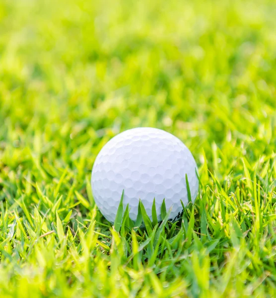 Bola de golfe na grama — Fotografia de Stock