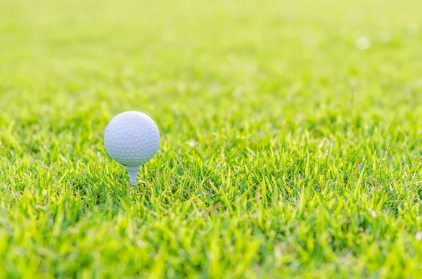 Golfbal op gras — Stockfoto