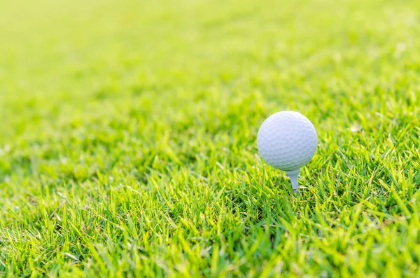 Bola de golfe na grama — Fotografia de Stock