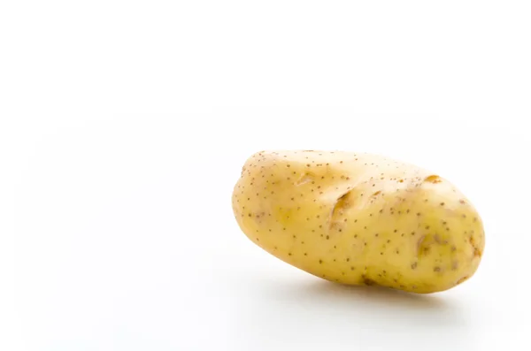 Potato — Stock Photo, Image