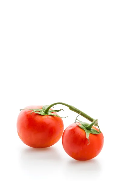 Tomate — Foto de Stock