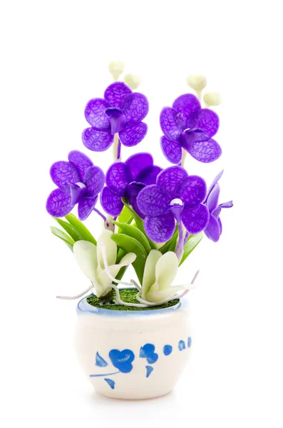 Flower pot — Stock Photo, Image