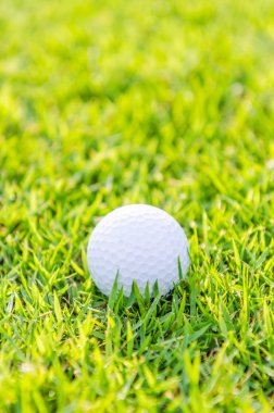 Çimlerin üzerinde golf topu