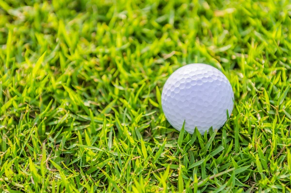 Golfboll på gräs — Stockfoto