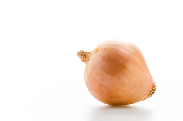 Onion — Stock Photo, Image