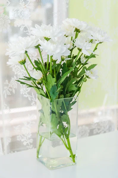 Flor en jarrón — Foto de Stock