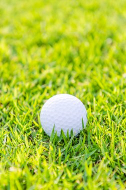 Yeşil çimlerin üzerinde golf topu